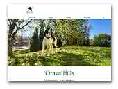 Orava Hills Bernese Hounds