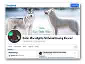 Polar Moonlights Siberian Husky