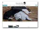 Polly Land FCI Bernese Mountain Dog & Japanese Spitz