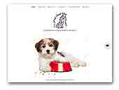 Posh Pooch Havanese