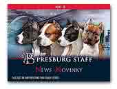 Presburg staff American Staffordshire Terriers