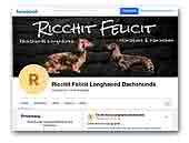 Ricchit Felicit FCI Longhair Dachshunds Kennel