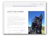 Scottish Charm Scottish Terriers