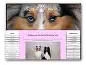 Special Princess Shetland Sheepdog