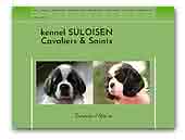 Suloisen King Charles Spaniels