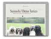 Sumanshu Tibetan Terriers