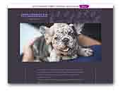 Vivianobullz French Bulldogs