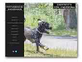Vindobona Kennel Portuguese Waterdog