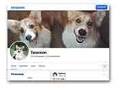 Tarancon FCI Welsh Corgi Pembroke