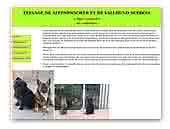 Affenvald kennel Affenpinscher and Västgötaspets