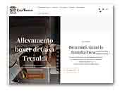 Boxer Casa Tresoldi