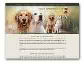 Golden Retriever Milu’s Charming Star