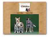 Cidabro kennel