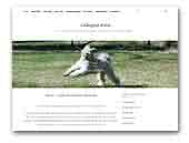 Csillagosz Pumi Kennel