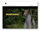 Kennel Danfox - Wire Foxterrier & Sealyham Terriers
