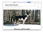 Flame of Bambi Border collie and Schipperke