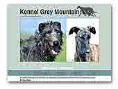 Kennel Grey Mountain