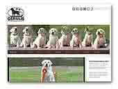 Labrador retriever kennel Gerulis
