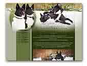 Atima Moravia Karelian Bear Dog