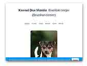 Dux Montis Kennel  Brazilian Terriers