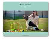 Kennel Forcewind - English springer spaniel