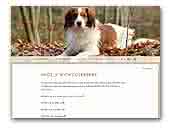 Kooikerhondje 'with CuteBerry'