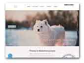 Mjallarfrost Samoyeds