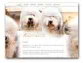 Noble Spirit Line Old English Sheepdog