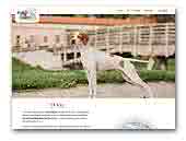 Postsaepem English Pointers