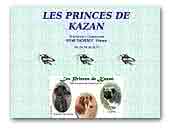 Italian Greyhound Kennel Princes de Kazan