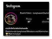 Ricchit Felicit FCI