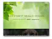 Rich Forest Beagle kennel