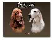 Roborovski Porcelaine and Bloodhound