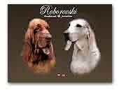 Roborovski Porcelaine and Bloodhound