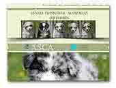 TwinPower kennel Australian Shepherds