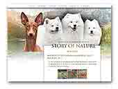 Story of Nature Samoyeds and Pharaoh Hounds