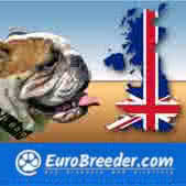 German Shepherd Dog Breeders and Kennels - EuroBreeder.com