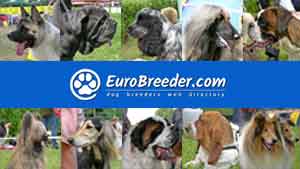 Alphabetical Breeds - multilanguage - EuroBreeder.com