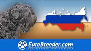 ukraine dog breeders list ukraine dog breeders list
