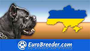 Ukraine Dog Breeders And Kennels Eurobreedercom