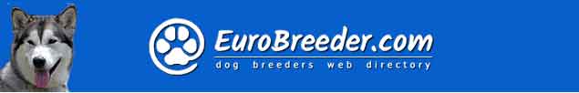 Alaskan Malamute Breeders - EuroBreeder.com