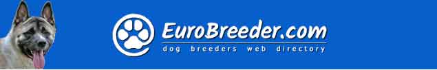 American Akita Breeders - EuroBreeder.com