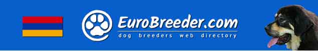 Armenia Dog Breeders - EuroBreeder.com