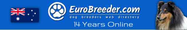 Australia Dog Breeders - EuroBreeder.com
