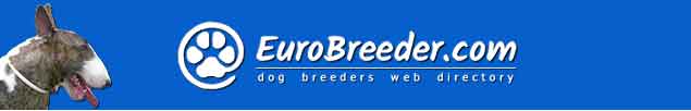 English Bull Terrier Dog Breeders - EuroBreeder.com