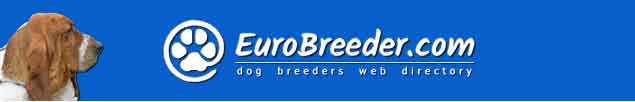 Basset Hound Breeders - EuroBreeder.com