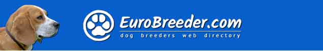 Beagle Breeders - EuroBreeder.com