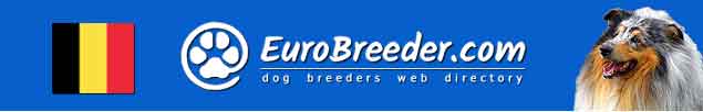 Belgium Dog Breeders - EuroBreeder.com