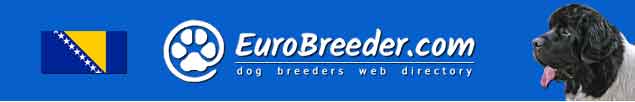 Bosnia and Herzegovina Dog Breeders - EuroBreeder.com