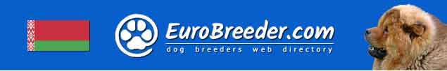 Belarus Dog Breeders - EuroBreeder.com
